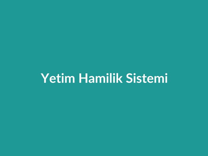 Yetim Hamilik Sistemi